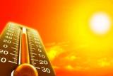 روش های درمان بیماری ها در فصل گرما