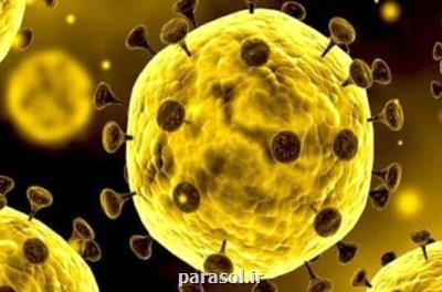 مبتلا شدن به كرونا تا ۱۰ ماه در مقابل ویروس مصونیت بوجود می آورد