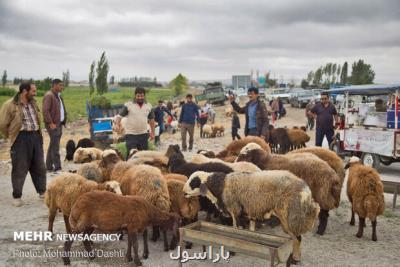 لزوم خرید اینترنتی دام از مراكز مجاز