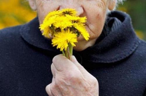 از میان رفتن سریع حس بویایی علامت اولیه بیماری آلزایمر