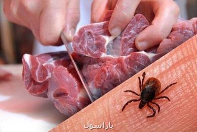 شناسایی یک بیمار مبتلا به تب کریمه-کنگو در بوشهر