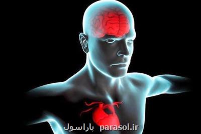 ناهنجاری دهلیز فوقانی قلب خطر زوال عقل را بیشتر می کند