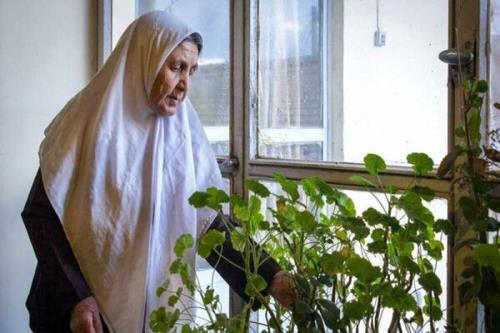 هورمون درمانی ریسک آلزایمر را در زنان مسن کاهش می دهد