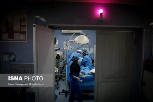 اهدای عضو 9 بیمار در بوشهر، جان 30 نفر را نجات داد