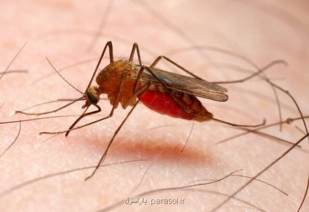 اجرای کمپین خانه به خانه در رودبار جنوب برای بیماریابی مالاریا