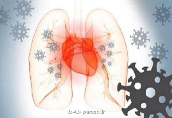 لطمه کووید به اندام ها می تواند به قلب نیز لطمه برساند