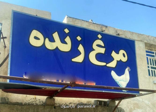 عرضه غیر مجاز مرغ زنده در شیراز و بی تفاوتی مسؤلان