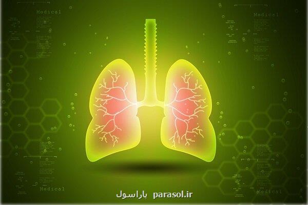 کپک خانگی می تواند سبب بیماری ریه شود