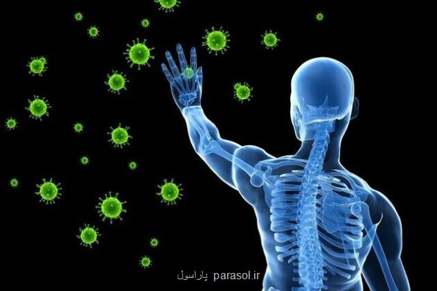 مصرف این گیاه سبب تقویت سیستم ایمنی بدن می شود