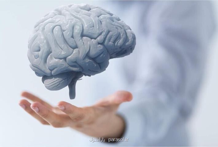 اشتباهاتی که مغز را پیر می کند