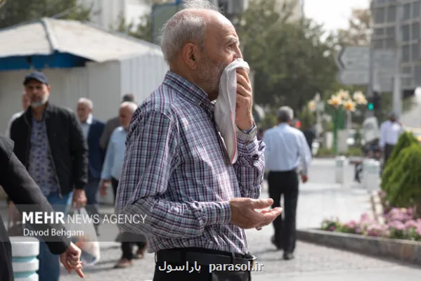 تاثیر آلودگی هوا در افزایش مصرف دارو و هزینه های سلامت