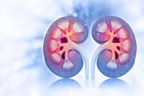 سلامت مغز با عملکرد کلیه ها مرتبط می باشد