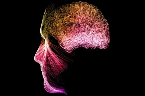 مدیتیشن فعالیت مغز را تغییر می دهد