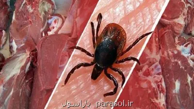 شناسایی 9 مورد تب کریمه کنگو در استان یزد