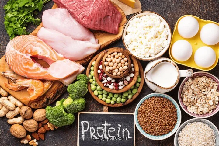 بهترین پروتئین های گیاهی پرخاصیت از نگاه مرکز مطالعات دانشگاه کالیفرنیا