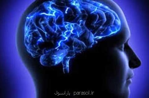 راهكارهای حفظ سلامت مغز را بشناسید