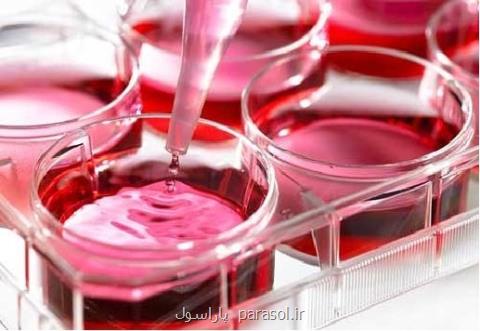 تولید 13 تكنولوژی جدید در حوزه دارویی كشور