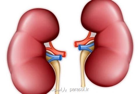 علائم سنگ كلیه را بشناسید