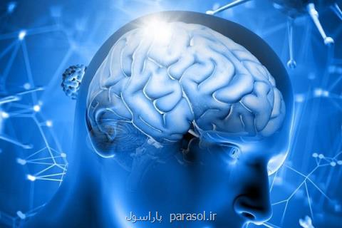 ارتباط تصمیمات اخلاقی با فعالیت مغز
