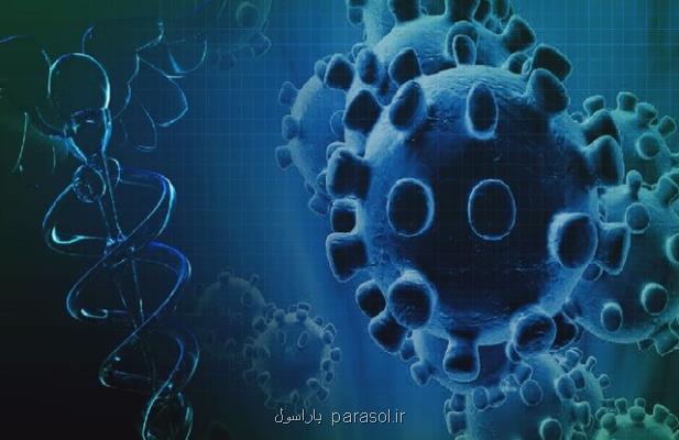 آمریكا كانون بعدی شیوع كروناویروس