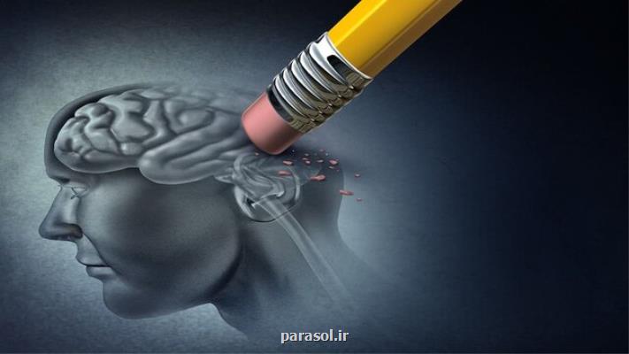 نانوابزاری كه به جلوگیری از بروز آلزایمر كمك می نماید