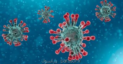 كرونا 2تا 3سال با ما خواهد بود