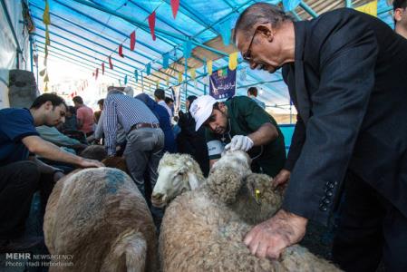 احتمال شیوع بیماری بوسیله ذبح دام در منازل و معابر عمومی