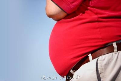 چاقی طولانی مدت با افزایش خطر مبتلاشدن به بیماری قلبی مرتبط می باشد