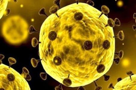 شناسایی پرریسك ترین شاخص های مرگ و میر ناشی از كووید۱۹