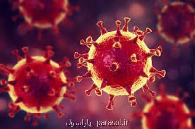 تردید متخصصان درباره میزان مرگبارتر بودن گونه جدید ویروس كرونا