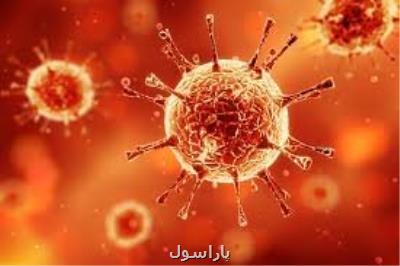 تازه ترین گزارش سازمان جهانی بهداشت از وضعیت همه گیری كرونا در جهان